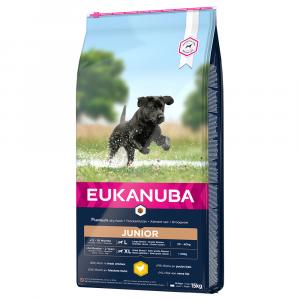 Eukanuba Junior Large Breed, kurczak - 2 x 15 kg