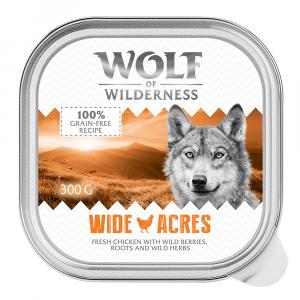Wolf of Wilderness Adult, 6 x 300 g - Wide Acres - kurczak
