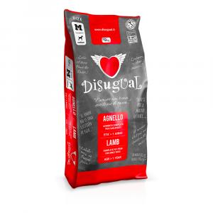 Disugual Medium Adult, jagnięcina - 2 x 12 kg