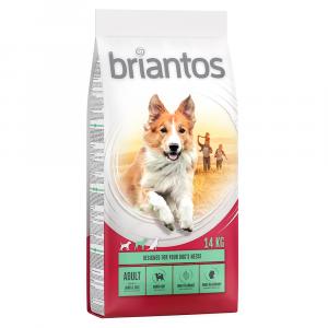 Briantos Adult, jagnięcina i ryż - 2 x 14 kg