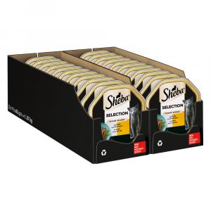 Sheba tacki, 22 x 85 g - Cielęcina i indyk w sosie