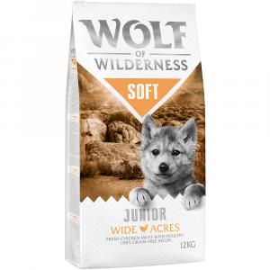 Dwupak Wolf of Wilderness \