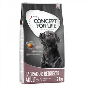 2 x 12 kg Concept for Life, karma sucha dla psa w super cenie! - Labrador Retriever Adult