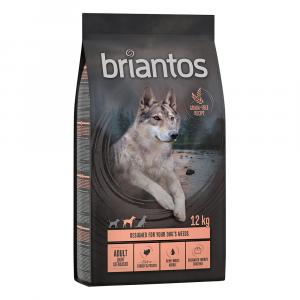 Briantos Adult Light/Sterilised, indyk z ziemniakami, bez zbóż - 12 kg