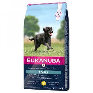 Eukanuba Adult Large Breed, kurczak - 2 x 15 kg