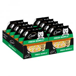 Cesar Fresh Bowls - Kurczak w sosie (10 x 85 g)