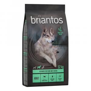 10% taniej! Briantos, karma sucha, 12 kg / 14 kg - Adult, jagnięcina z ziemniakami, bez zbóż, 12 kg