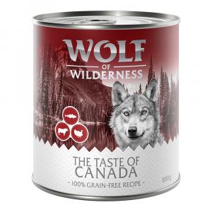 Korzystny pakiet Wolf of Wilderness „The Taste Of\