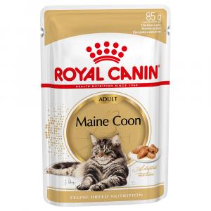Royal Canin Maine Coon Adult w sosie - 48 x 85 g