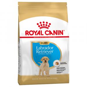 Royal Canin Labrador Retriever Puppy - 3 kg