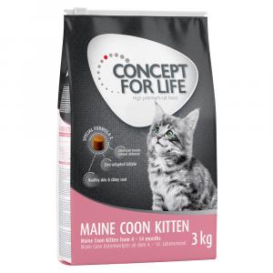 25% taniej! Concept for Life, karma sucha, 3 kg / 10 kg - Maine Coon Kitten, 3 kg