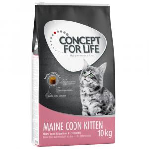 Concept for Life Maine Coon Kitten - Ulepszona receptura! - 10 kg