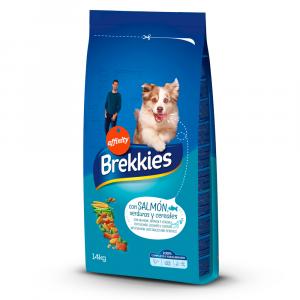 Brekkies Dog z łososiem - 2 x 14 kg
