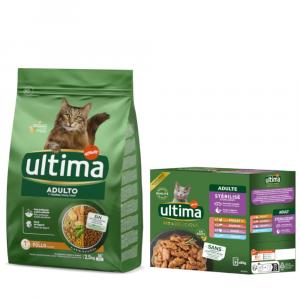 Ultima: 2,5 kg / 3 kg karma sucha + karma mokra, 4 x 70 g / 8 x 85 g gratis! - Cat Adult, kurczak, 2,5 kg + Sterilised Cat, Pakiet mieszany I (4 smaki), 8 x 85 g