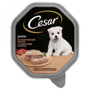 Cesar Junior w tackach, 14 x 150 g - Indyk i cielęcina