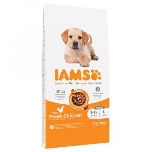 IAMS Advanced Nutrition Puppy Large, kurczak - 12 kg