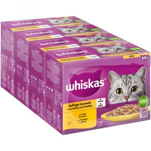 Megapakiet Whiskas Senior, saszetki, 144 x 85 g - 11+ Wybór dań drobiowych w galarecie