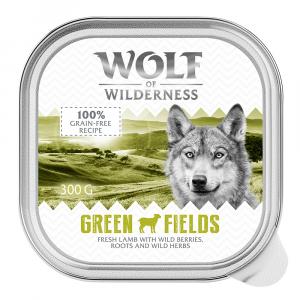 Megapakiet Wolf of Wilderness Adult, 24 x 300 g - Green Fields - jagnięcina