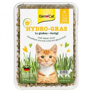 GimCat Hydro-trawa, 150g - 150 g