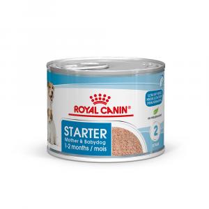 Royal Canin Starter Mother & Babydog Ultra Soft Mousse - 48 x 195 g