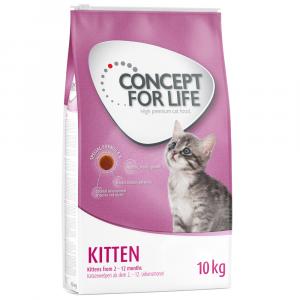 15% taniej! Concept for Life, karma sucha, 10 kg - Kitten - ulepszona receptura!