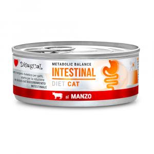 Korzystny pakiet Disugual Metabolic Balance Intestinal Cat, 24 x 85 g - Wołowina