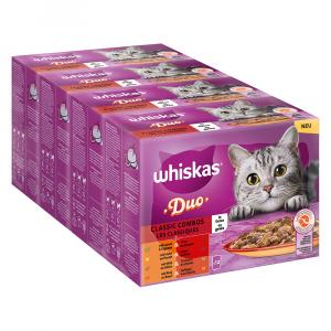 Pakiet Whiskas Duo, saszetki, 48 x 85 g - Classic Combos w galarecie