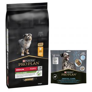 PURINA PRO PLAN: karma sucha + Dental Care dla dużych psów, 426 g (12 sztuk) gratis! - Medium Puppy Healthy Start, kurczak i ryż, 12 kg