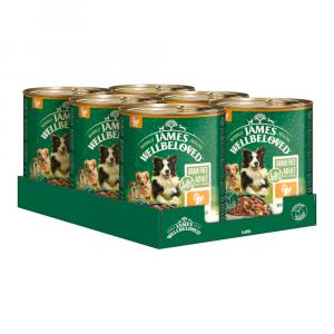 James Wellbeloved Grain Free Adult Dog Hypoallergenic, indyk - 24 x 800 g