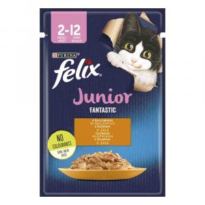 Felix Junior Fantastic w saszetkach, 26 x 85 g - Kurczak