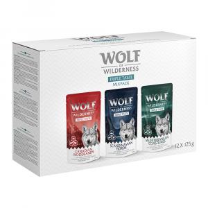 Wolf of Wilderness \