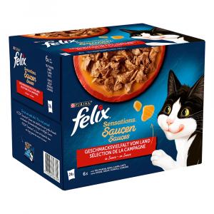 15% taniej! Felix, karma mokra dla kota, 20 / 24 / 80 x 85 g - Sensations w saszetkach, mięsna różnorodność w sosie, 24 x 85 g