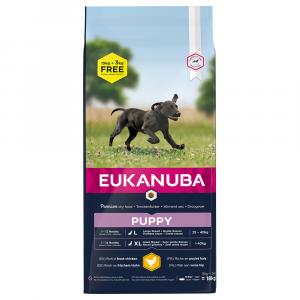 15 + 3 kg gratis! Eukanuba, karma sucha dla psa, 18 kg - Puppy Large Breed, kurczak