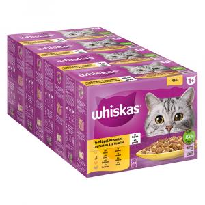 Pakiet Whiskas 1+ Adult, saszetki, 48 x 85 g - Wybór dań drobiowych w galarecie