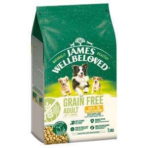 James Wellbeloved Grain Free Adult Dog Hypoallergenic, indyk i warzywa - 1,5 kg