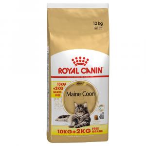 10 + 2 gratis! Royal Canin, sucha karma dla kota, różne rodzaje, 12 kg - Maine Coon Adult