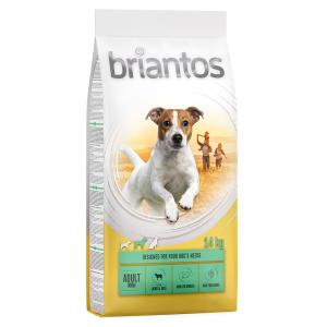Dwupak Briantos - Adult Mini, jagnięcina & ryż, 2 x 14 kg