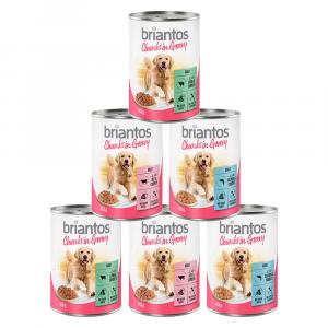 Mieszany pakiet próbny Briantos Chunks w sosie - 24 x 415 g