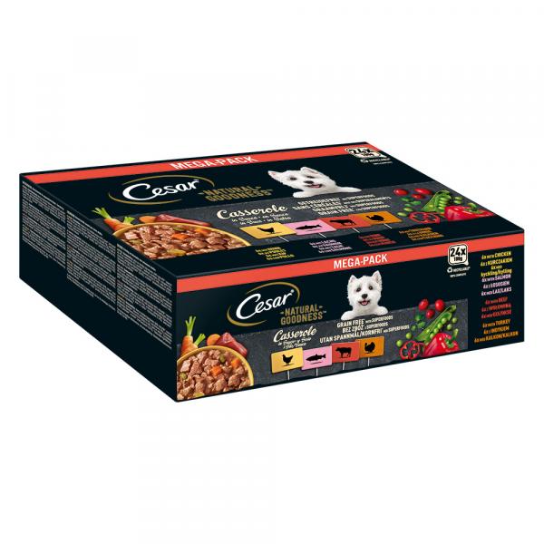 Cesar Natural Goodness Superfoods, 24 x 100 g - Casserole w sosie (łosoś, kurczak, wołowina, indyk)