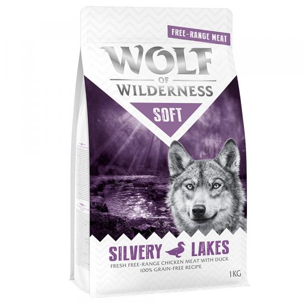 Wolf of Wilderness \