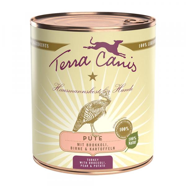 Terra Canis, 6 x 800 g - Indyk z brokułami, gruszką i ziemniakami