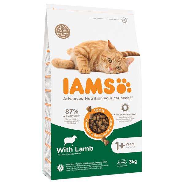 IAMS Advanced Nutrition Adult Cat, z jagnięciną - 3 kg