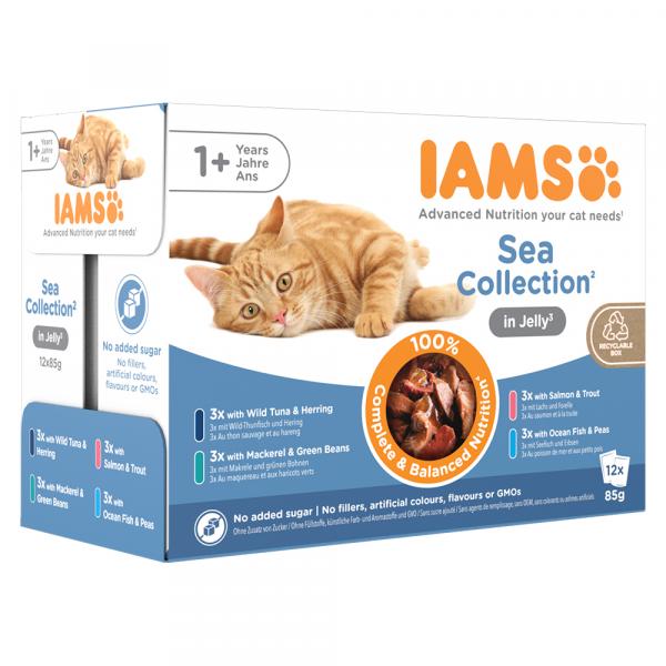 IAMS Advanced Nutrition Adult, rybne smaki - W galarecie, 24 x 85 g