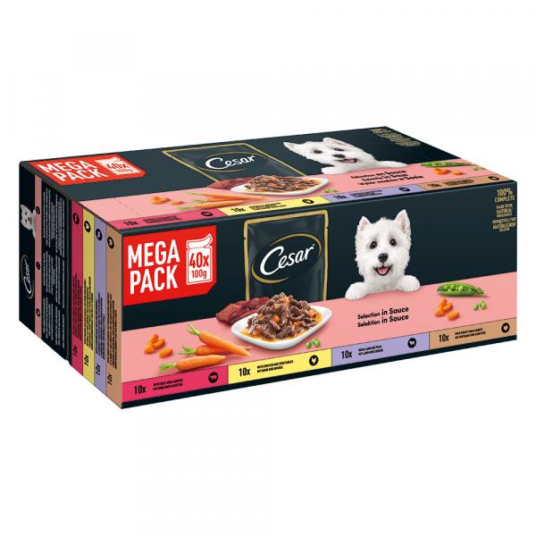 Cesar Feines Favoriten w sosie - 80 x 100 g