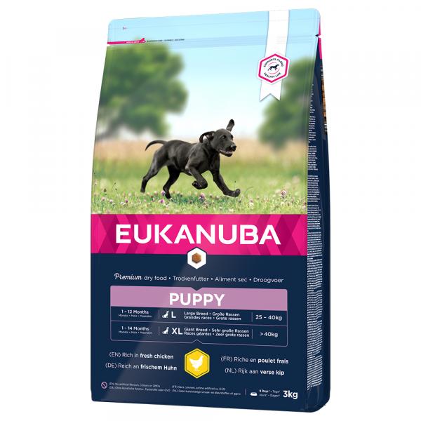 Eukanuba Puppy Large Breed, kurczak - 2 x 3 kg