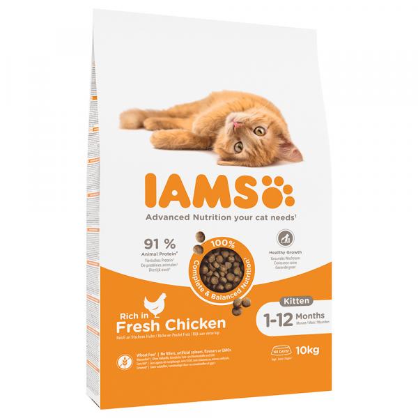 10% taniej! IAMS Kitten/Senior, karma sucha dla kota, 10 kg - Advanced Nutrition Kitten, ze świeżym kurczakiem