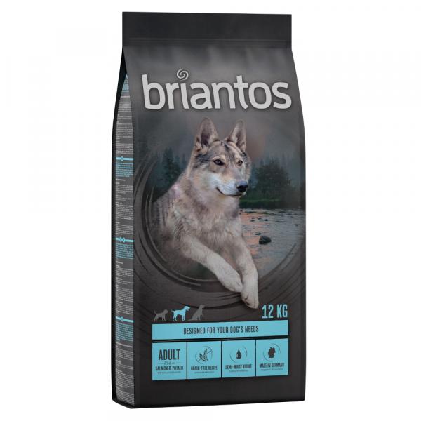 10% taniej! Briantos, karma sucha, 12 kg / 14 kg - Adult, łosoś z ziemniakami, bez zbóż, 12 kg