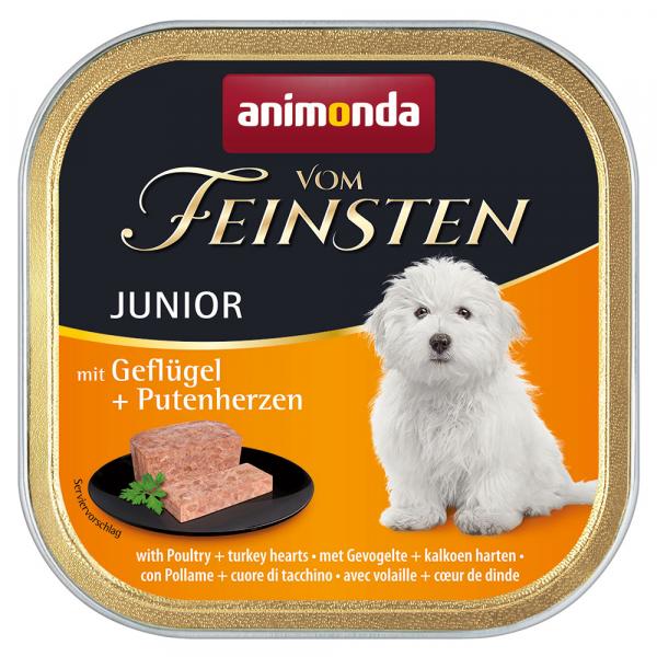 Megapakiet animonda vom Feinsten Junior, 24 x 150 g - Drób z sercami indyczymi