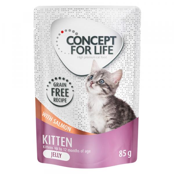 Concept for Life Kitten w galarecie, łosoś - bez zbóż - 24 x 85 g