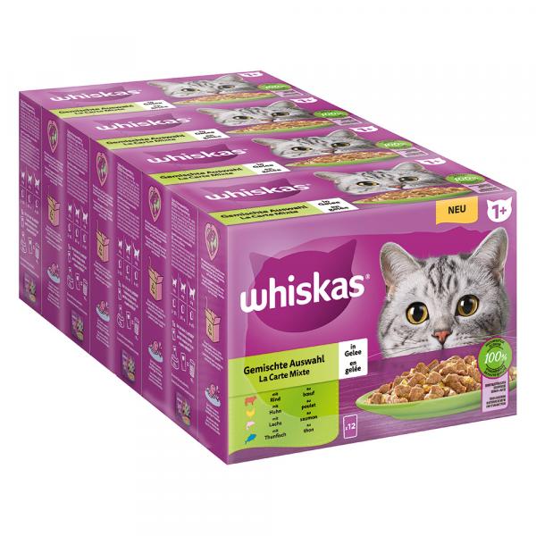 Megapakiet Whiskas 1+ Adult, saszetki, 96 x 85 g - Pakiet mieszany w galarecie